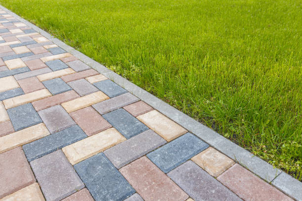 Best Driveway Paving Contractor  in Rossville, IN